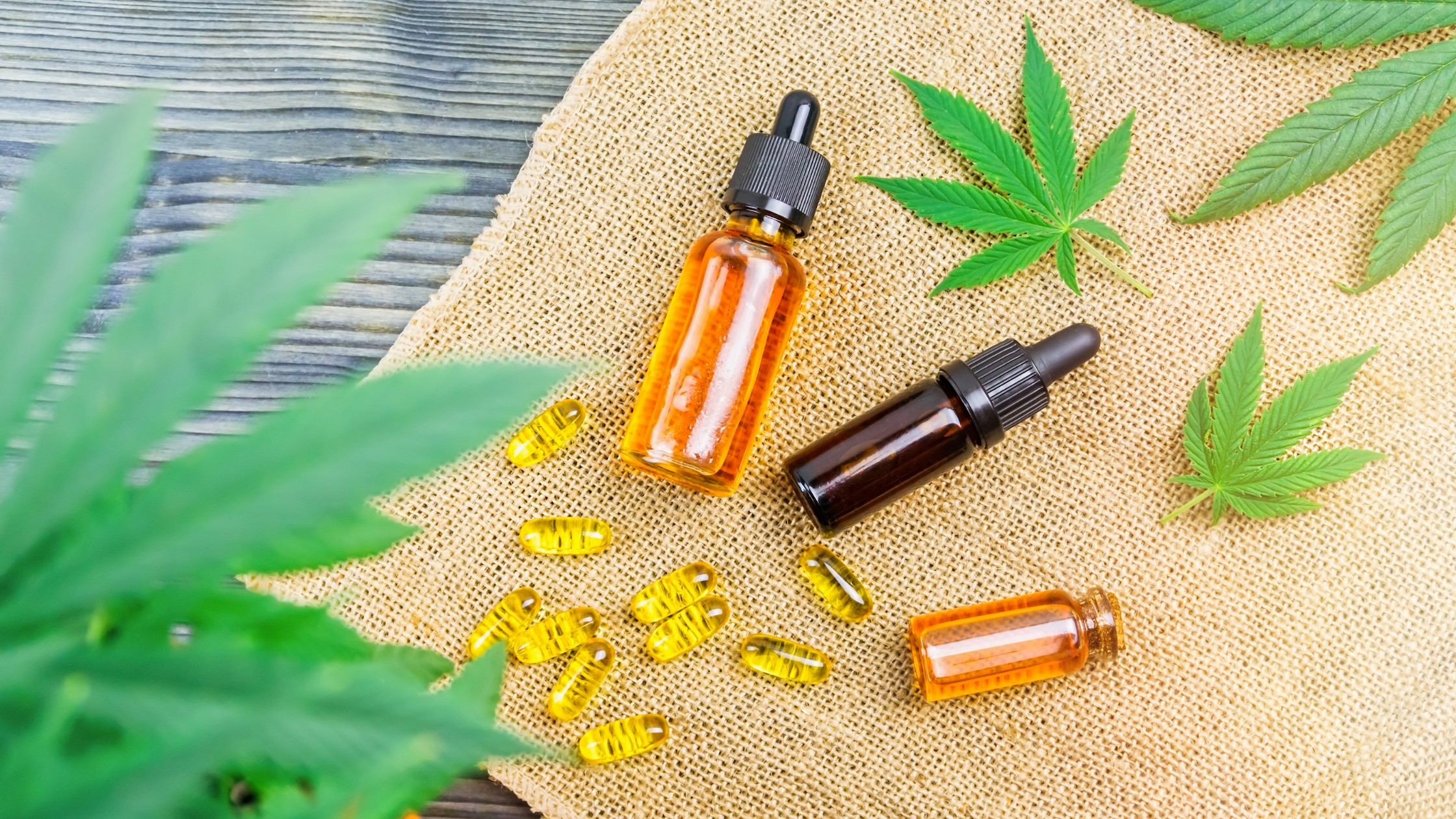 Discover the differences about indica and sativa tinctures.