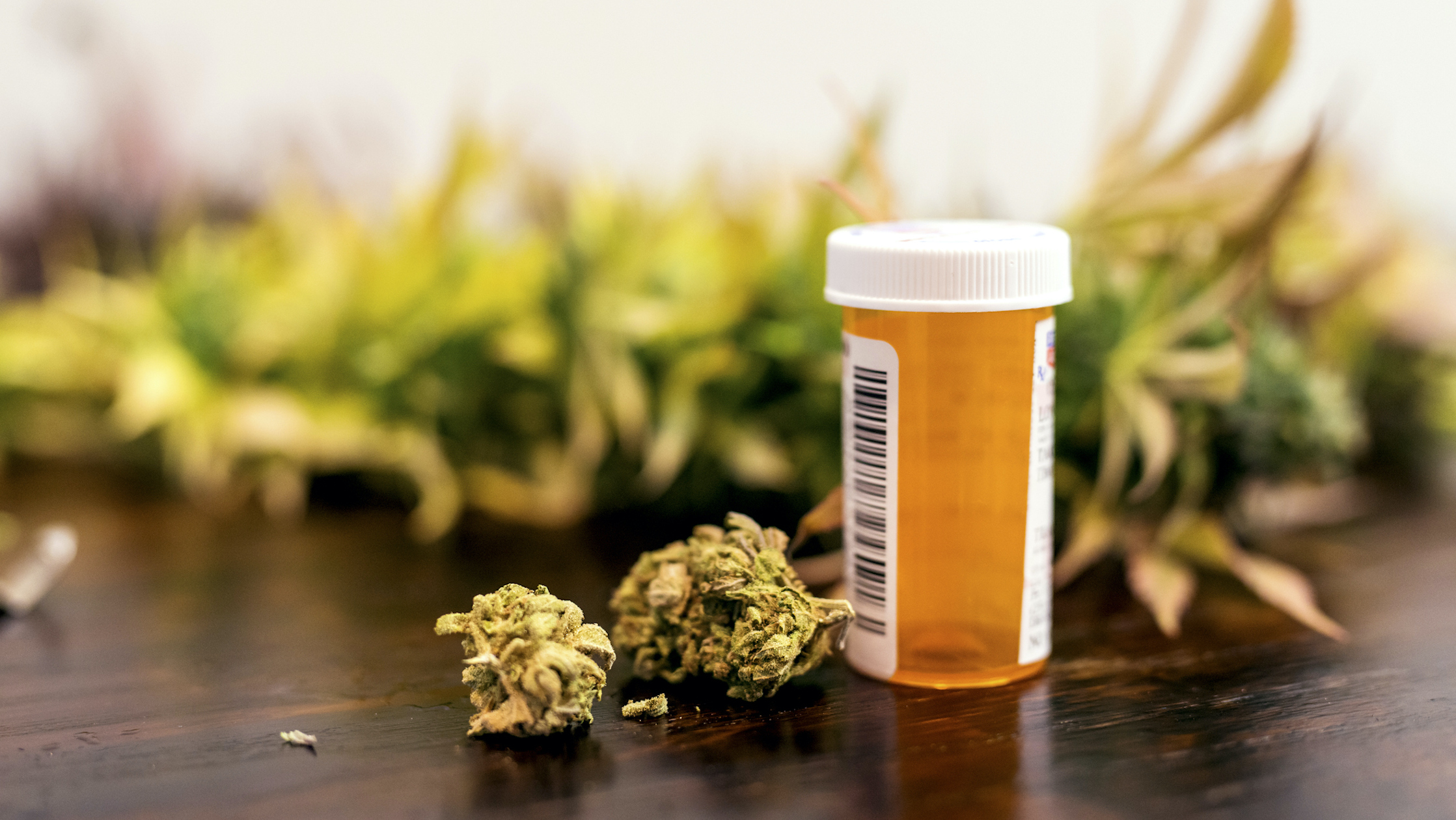 If you are interested in a medical cannabis card, learn about the potential impact recent statements from the Louisiana attorney general could have.